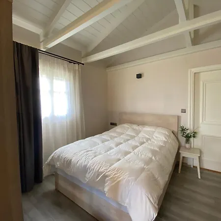 Blue Horizon Rock * 니드리