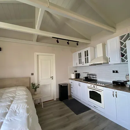 Blue Horizon Rock 니드리